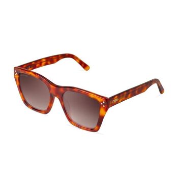 GUERNICA Mango Tortoise - Lunettes de soleil 9