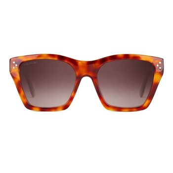 GUERNICA Mango Tortoise - Lunettes de soleil 1