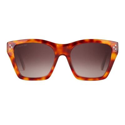 GUERNICA Mango Tortoise - Sunglasses