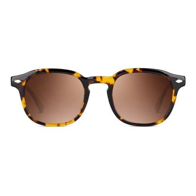 RILEY Tortoise Brown - Sunglasses