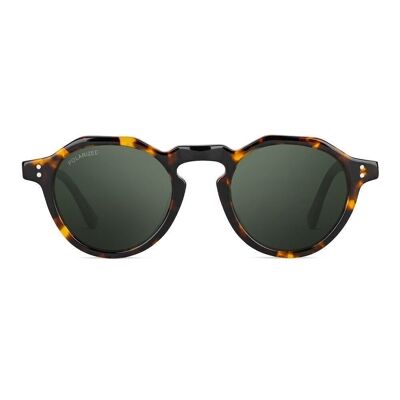 HAMMOND Tortoise Green - Sunglasses