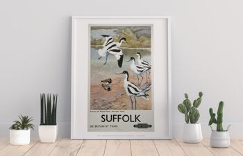 Suffolk - Avocettes, Havergate Island - Impression artistique Premium