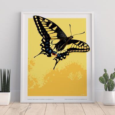 Swallowail Butterfly - 11X14” Premium Art Print
