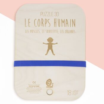 Puzzle corps humain: les muscles, le squelette, les organes 1