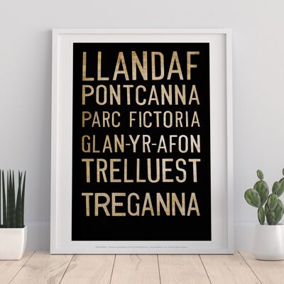 Llandaf, Pontcanna, Parc Fictoria, Art Print