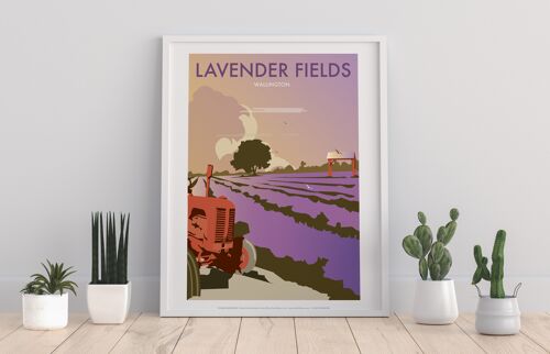 Lavender Fields By Artist Dave Thompson - Premium Art Print