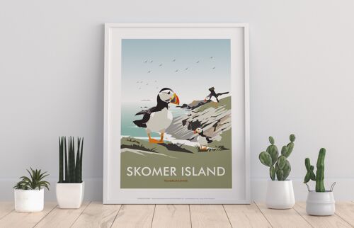 Skomer Island, Pembrokeshire By Dave Thompson Art Print