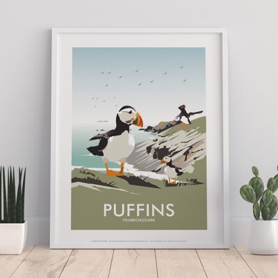 Puffins, Pemrokshire By Artist Dave Thompson - Art Print