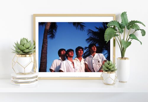 The Beatles - Palm Trees - 11X14” Premium Art Print