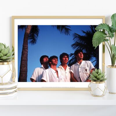 Die Beatles – Palmen – 11 x 14 Zoll Premium-Kunstdruck