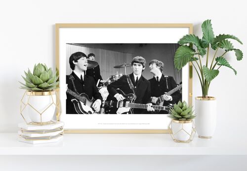 The Beatles - Group Photo Live - 11X14” Premium Art Print