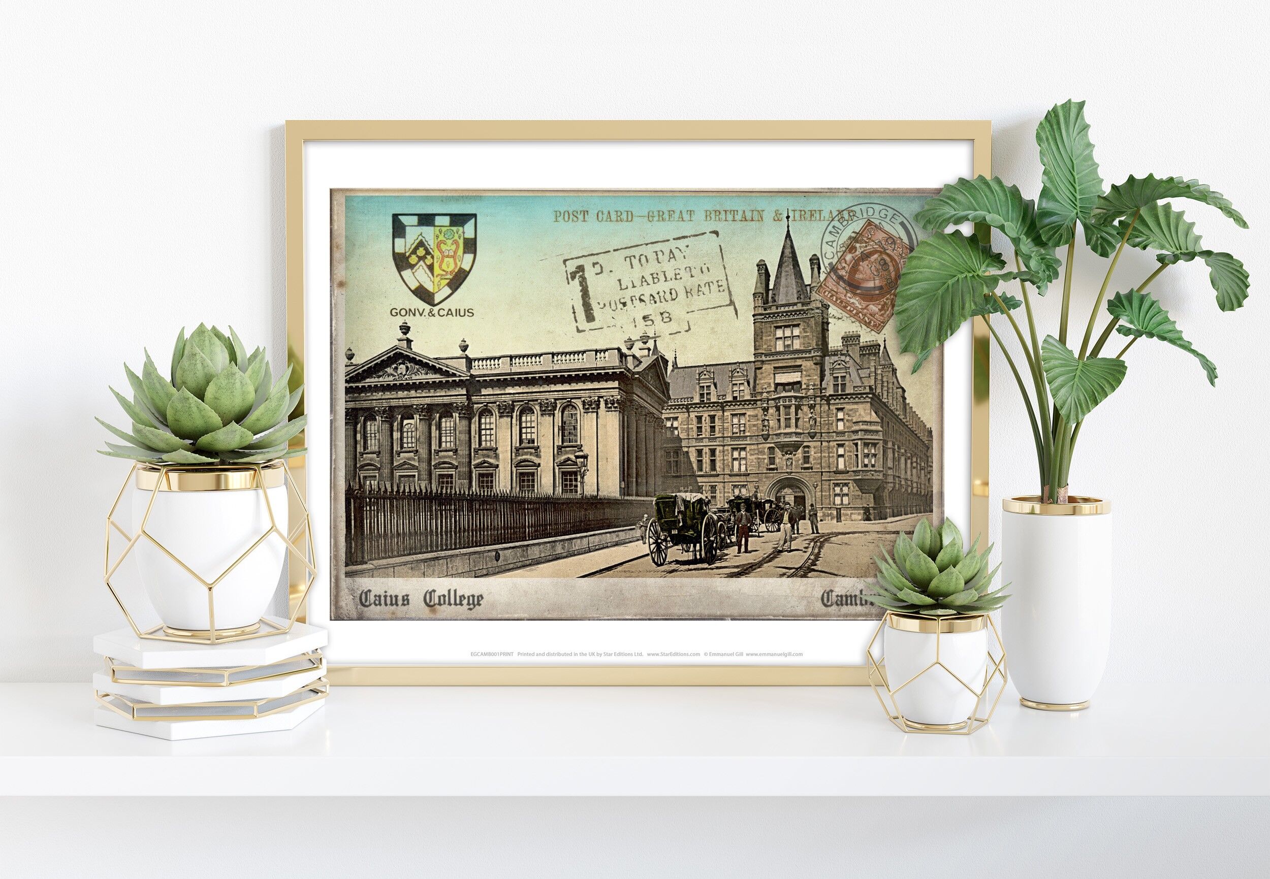 Caius College - Cambridge - Impresión de arte premium de 11X14"
