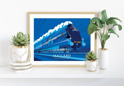 Mallard By Artist Stephen Millership - Premium Art Print