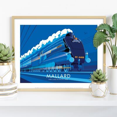 Mallard By Artist Stephen Millership - Premium Art Print