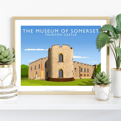 Museo de Somerset, Castillo de Taunton - Lámina artística