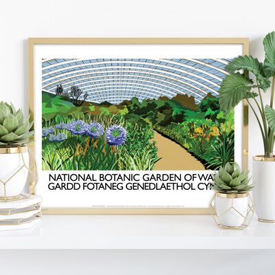 Giardini botanici nazionali del Galles - stampa d'arte