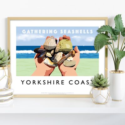 Recopilación de conchas marinas, costa de Yorkshire - Lámina artística