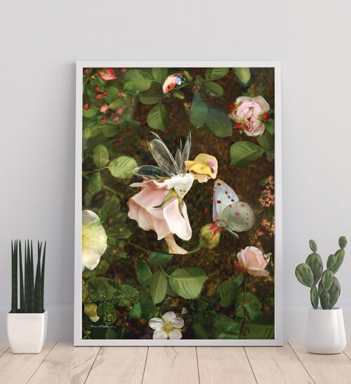 Rose Fairy - 11X14” Art Print by Charlotte Bird