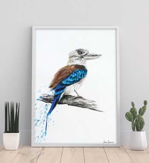 Blue Kookaburra - 11X14” Art Print by Ashvin Harrison