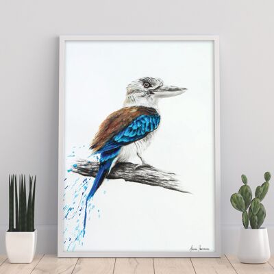 Kookaburra azul - 11X14" Impresión de arte por Ashvin Harrison
