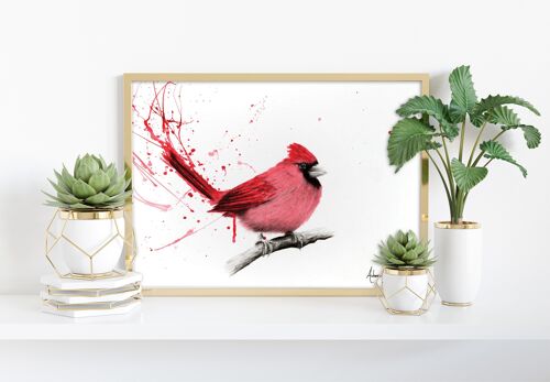 Curious Cardinal - 11X14” Art Print by Ashvin Harrison