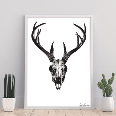 Deer Skull - 11X14” Art Print by Ashvin Harrison