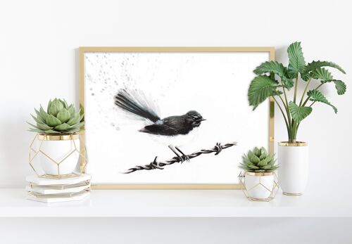 Coleraine Willy Wagtail -11X14” Art Print by Ashvin Harrison