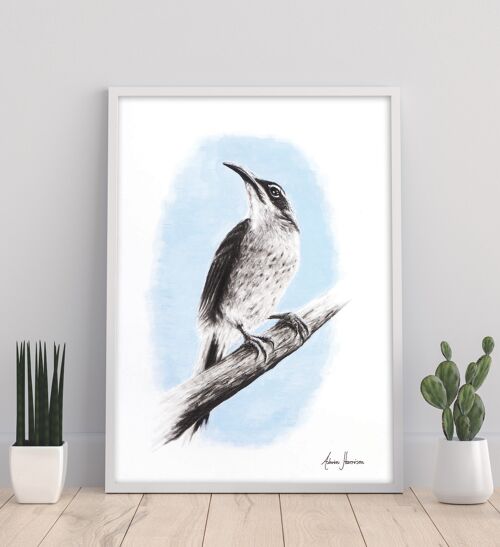 Riflebird - 11X14” Art Print by Ashvin Harrison