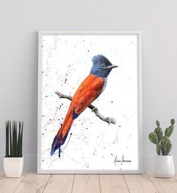 Oiseau de couchers de soleil - 11 X 14" Art Print par Ashvin Harrison