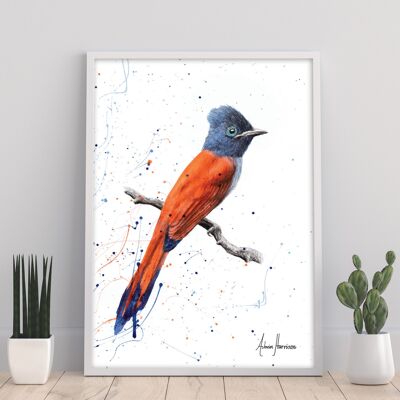 Pájaro de puestas de sol - 11X14" Impresión de arte por Ashvin Harrison
