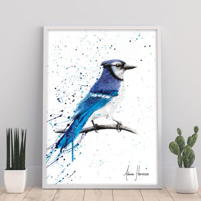 Blue Jay Sunday – 11 x 14 Zoll Kunstdruck von Ashvin Harrison