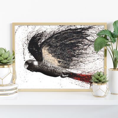 Furchtloser schwarzer Kakadu – 11 x 14 Zoll Kunstdruck von Ashvin Harrison