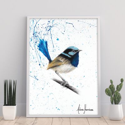 Moonlight Wren - 11X14” Art Print by Ashvin Harrison