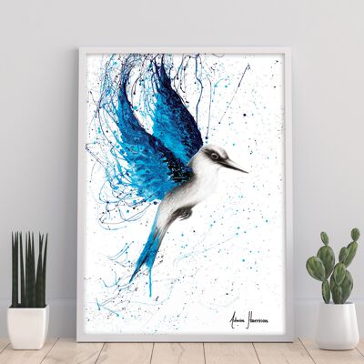 Aussie Blue - 11 x 14" stampa d'arte di Ashvin Harrison