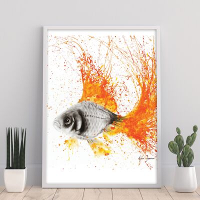 Fish Flare - 11X14” Art Print by Ashvin Harrison