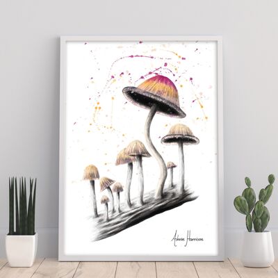 Mushroom Dance - 11X14” Art Print by Ashvin Harrison
