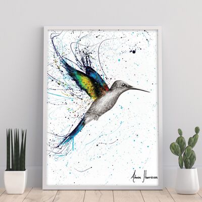 Glücklicher Kolibri – 11 x 14 Zoll Kunstdruck von Ashvin Harrison