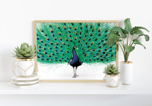 Proud Peacock - 11X14” Art Print by Ashvin Harrison