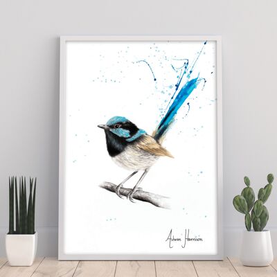 Wren Wisdom - 11X14" Art Print par Ashvin Harrison