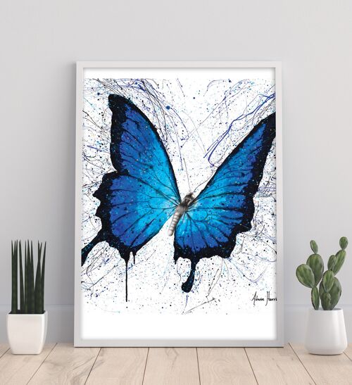 Tropics of Blue Butterfly - 11X14” Art Print