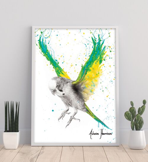 The Bold Budgie - 11X14” Art Print by Ashvin Harrison