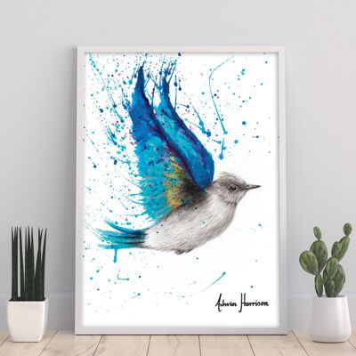 Blauer Byron-Vogel – 11 x 14 Zoll Kunstdruck von Ashvin Harrison