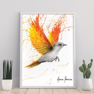 Citrus Star Bird – 11X14” Kunstdruck von Ashvin Harrison