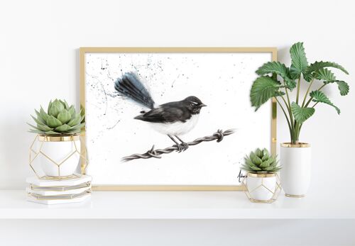 Centenary Willy Wagtail -11X14” Art Print by Ashvin Harrison