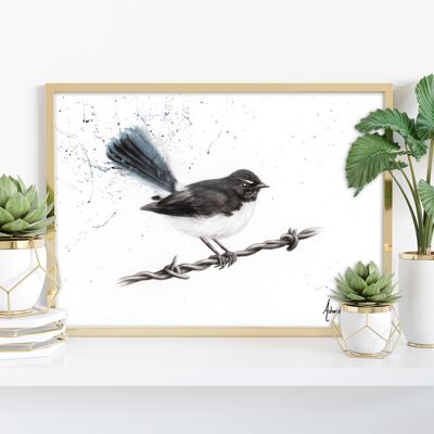 Centenary Willy Wagtail -11X14” Art Print by Ashvin Harrison