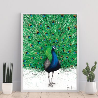 Prancing Peacock - 11X14” Art Print by Ashvin Harrison