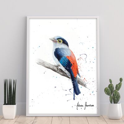 Vogel der Geduld – 11 x 14 Zoll Kunstdruck von Ashvin Harrison