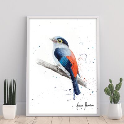 Bird Of Patience - 11X14” Art Print by Ashvin Harrison