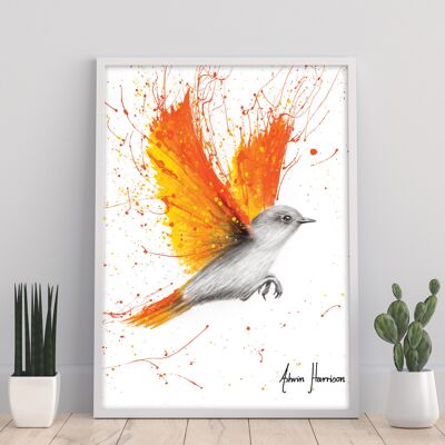 Vogel der Zitrussaison – 11 x 14 Zoll Kunstdruck von Ashvin Harrison
