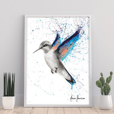 Azul Hummingbird - 11 x 14" stampa d'arte di Ashvin Harrison